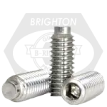 Socket Set Screw Half Dog Stainless Steel 316 3/4-10x2 3/4