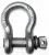 Screw Pin Shackle